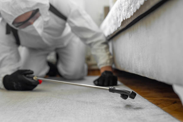 Professional Bed Bug Control technician working in Warren, PA